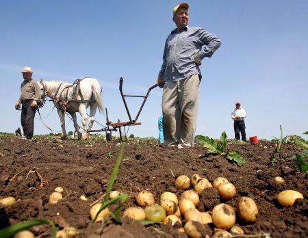 Nu stăm foarte rău la "agricultură ecologică"