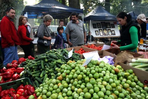 „Am învăţat să vopsesc roşii în Ungaria”