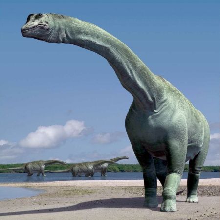 Misterul asteroidului vinovat de extincția dinozaurilor