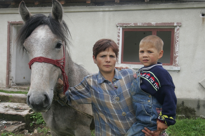 Cum şi-a păstrat Găldău caii cu SIDA în bătătură