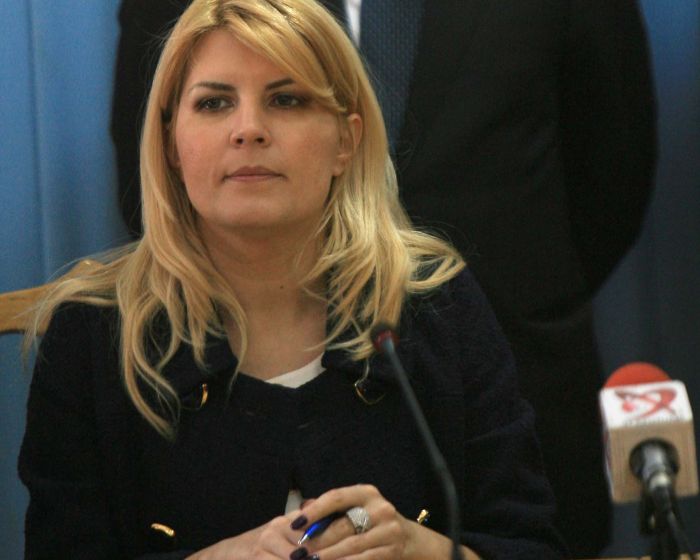 Elena Udrea: Deocamdată, nu se pune problema ca Boc să fie demis