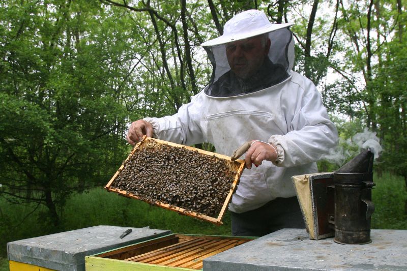 Microferme apicole pe bani europeni