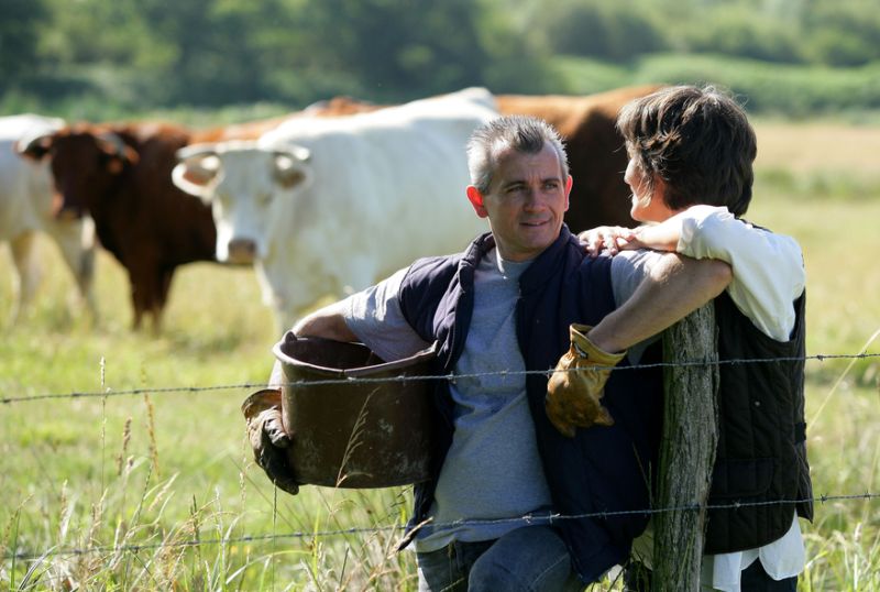 Munca la câmp, vacanţa la ţară dorită de turişti străini