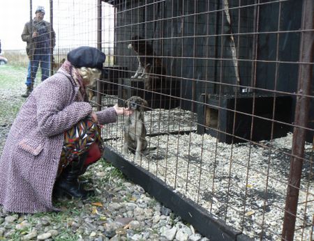 Poliţie şi SMURD pentru animalele din Capitală