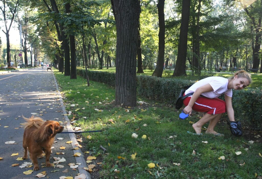 Sunteţi de acord cu amendarea stăpânilor care nu curăţă după câini?