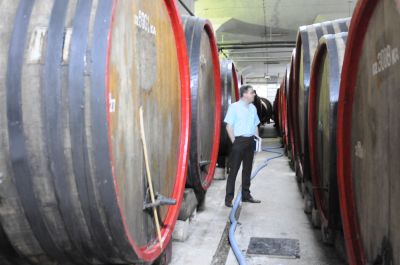 Comoara vinului, neglijată de turismul românesc
