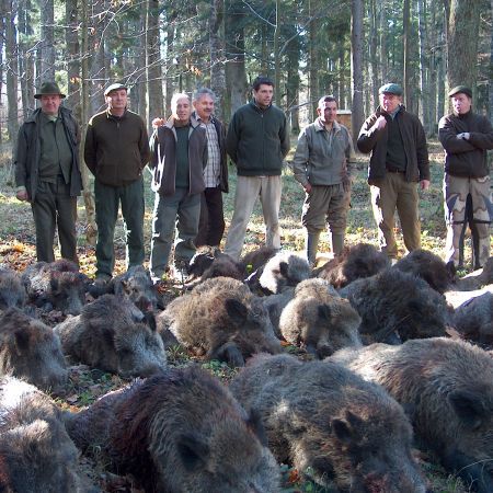 Criza nu a diminuat apetitul străinilor pentru partidele de vânătoare în România
