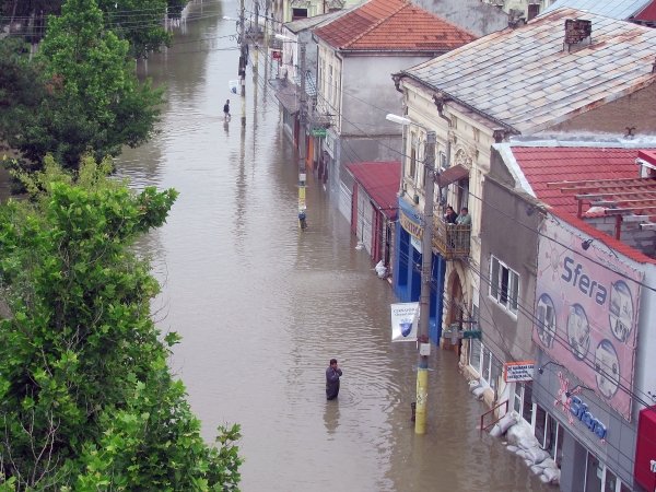 Viiturile, ascunse de Ucraina