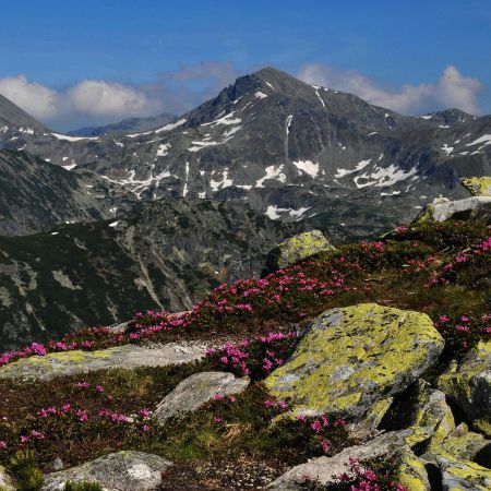 Fotograf, plecat în căutarea României sălbatice