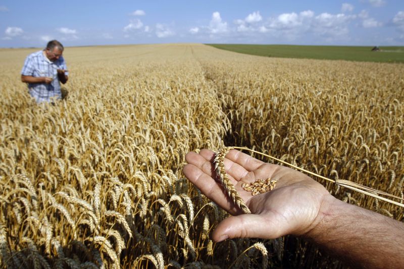 Vrem minuni în agricultură fără apă şi subvenţii