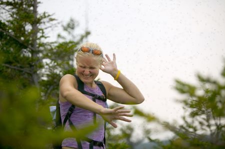 West Nile a ucis doi români. Streinu Cercel: Nu există risc de epidemie