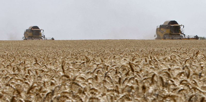 2009, un an agricol mai prost decât 2008. Vezi unde s-a făcut totuşi performanţă