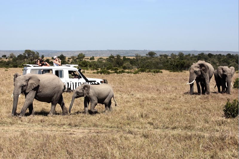 Cât te costă o vacanţă pe cont propriu în Africa