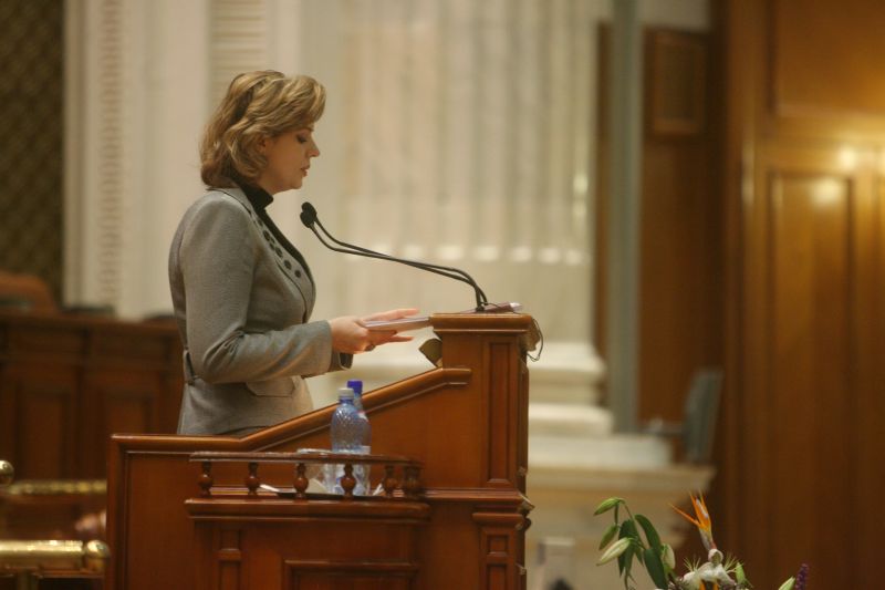 Deputat PDL: Roberta Anastase ar trebui să îşi dea demisia
