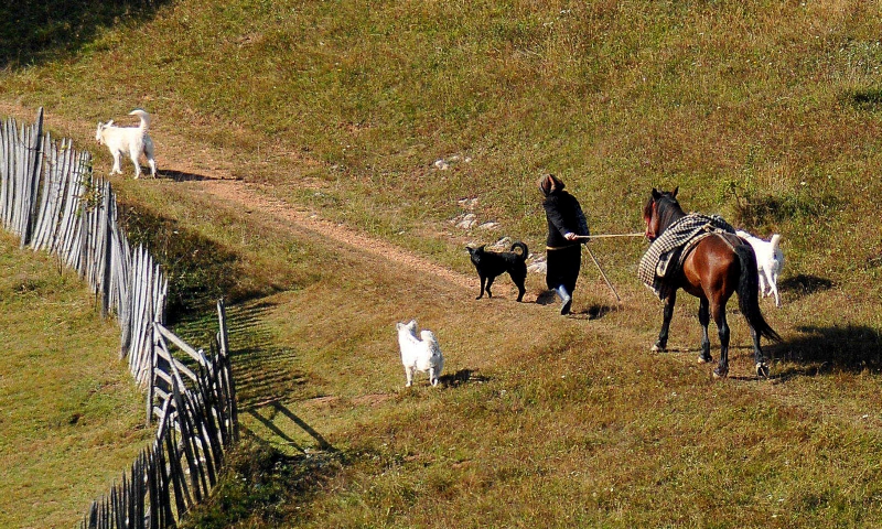 Fefeleaga, brand turistic în Munţii Apuseni