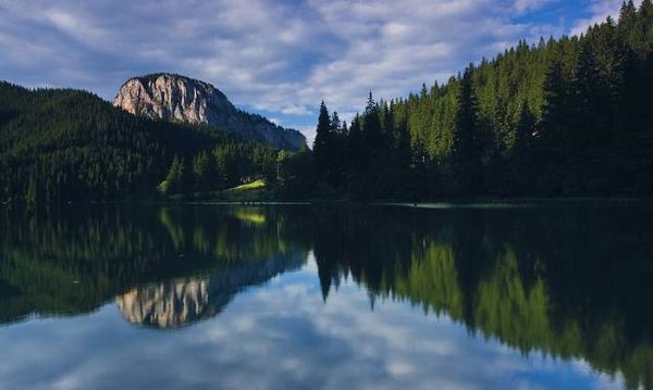 România Sălbatică-marmote la Căldarea Iezerului