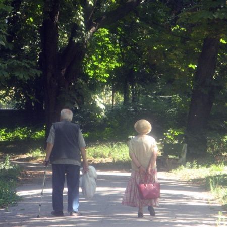 Grădina Botanică din Bucureşti împlineşte 150 de ani