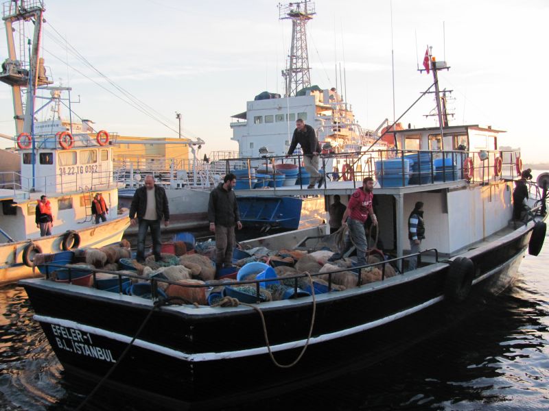 Pescador turcesc, reţinut cu focuri de armă în apele româneşti ale Mării Negre