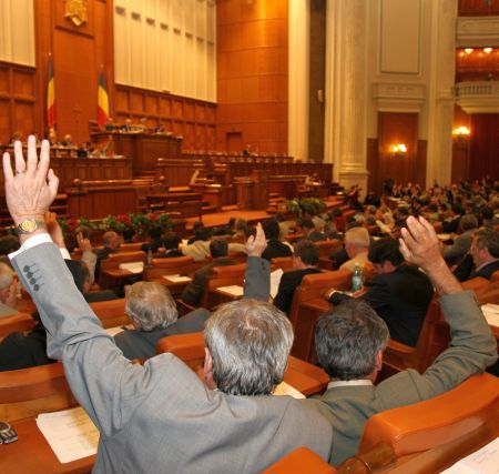 PNL: PDL instituie la Camera Deputaţilor "dictatura constituţională"