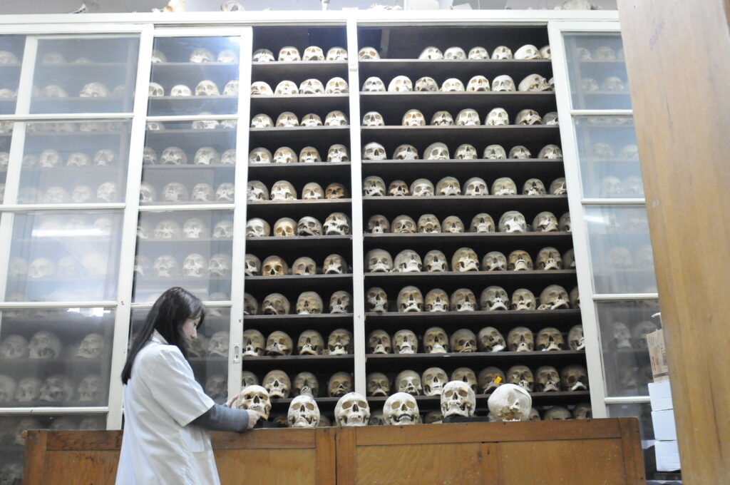 Povestea celor 7.000 de cranii din dulap