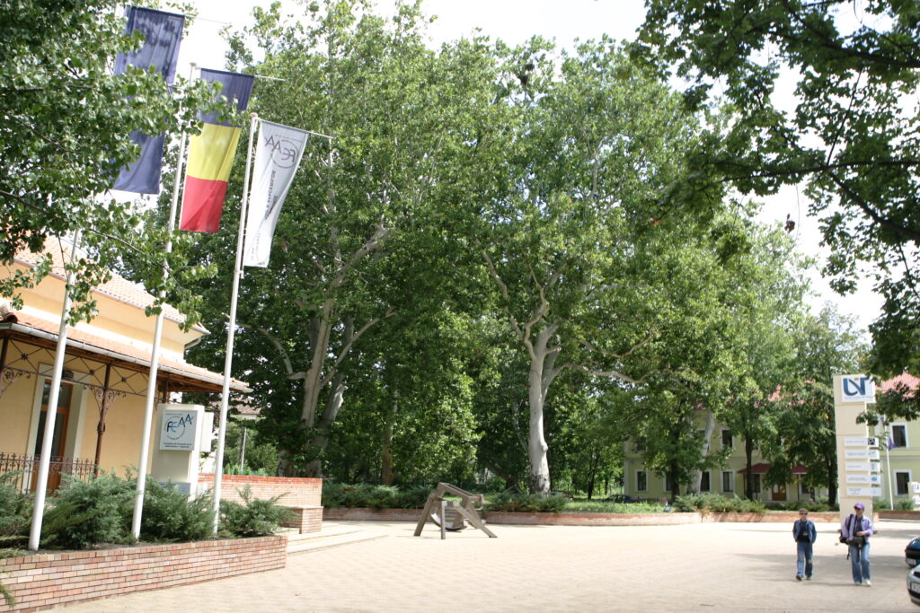 Studenţii din Timişoara protestează faţă de Legea Educaţiei