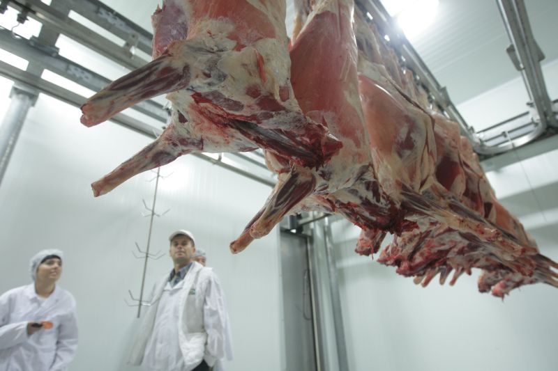 Unii producători de carne mai scapă de normele europene un an