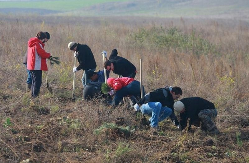 ViitorPlus vă invită la plantat