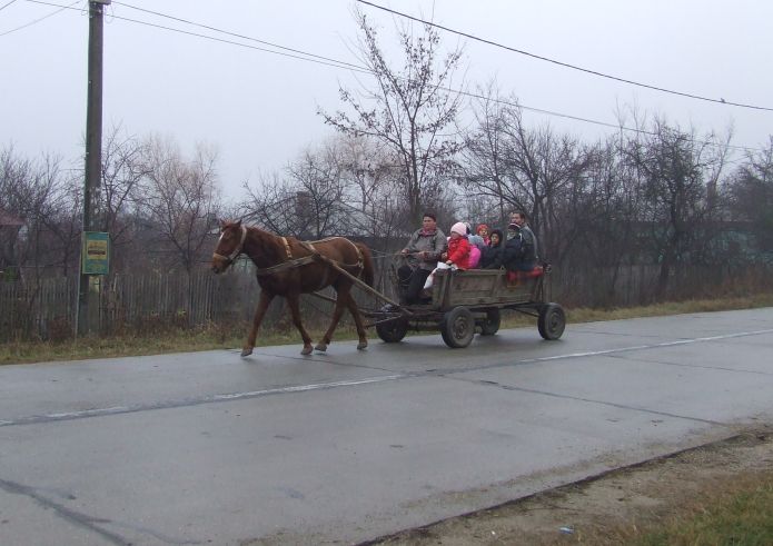 Zeci de elevi din Vâlcea merg la şcoală cu căruţa