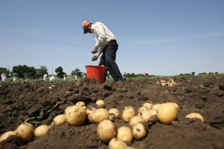 Aproape 450.000 de familii au completat chestionarele privind Recensământul Agricol