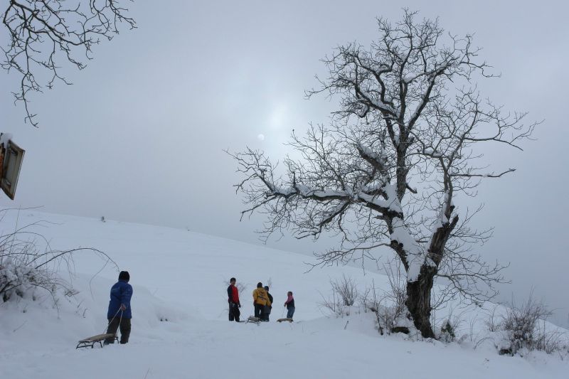 Schi ca pe vremea bunicilor în Munţii Poiana Ruscă | FOTOREPORTAJ