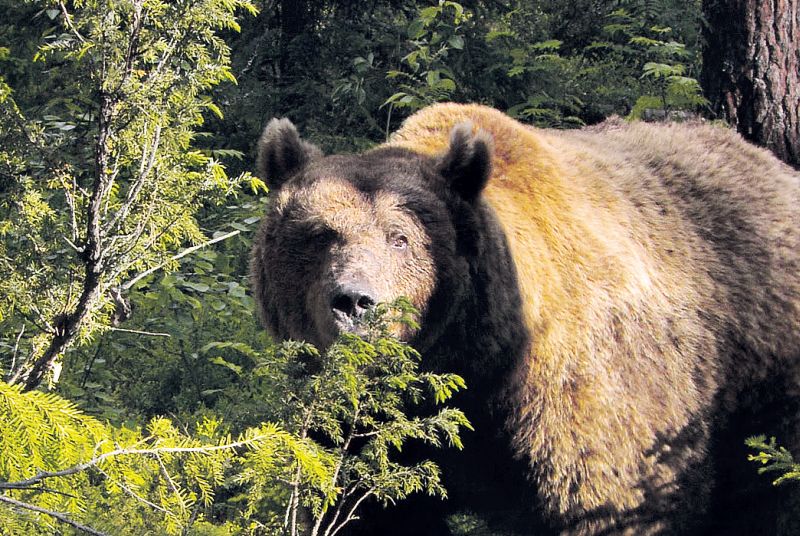 Călătorie în Munţii Ural