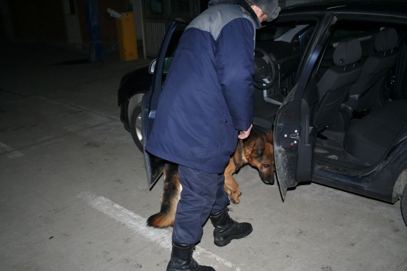 Cel mai tare "poliţist" de frontieră, câinele Eburg