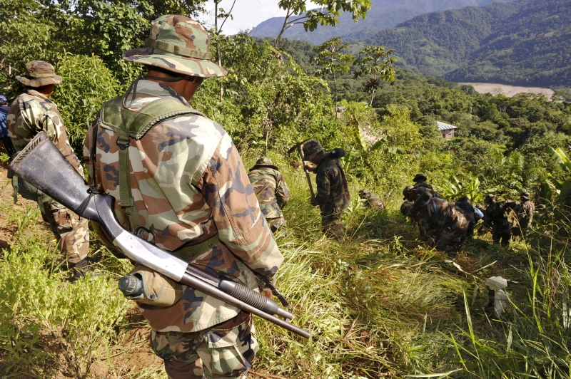 Cererea mare de cocaină distruge pădurile din Columbia