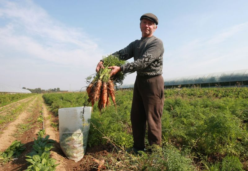 Consiliere pentru cei care se împiedică în birocraţie