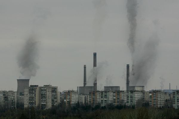 800 de adulţi ucişi de aerul poluat din Bucureşti. Cauzele: panseluţele şi excrementele de câini