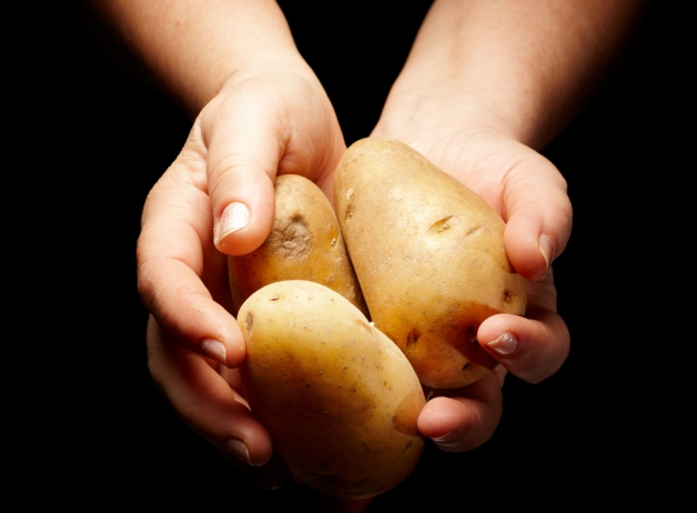 Cartofii au calorii puţine şi îngraşă doar prăjiţi