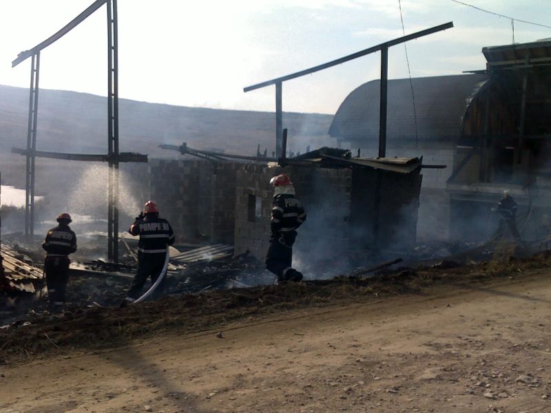 Case de vacanţă distruse de un incendiu de vegetaţie