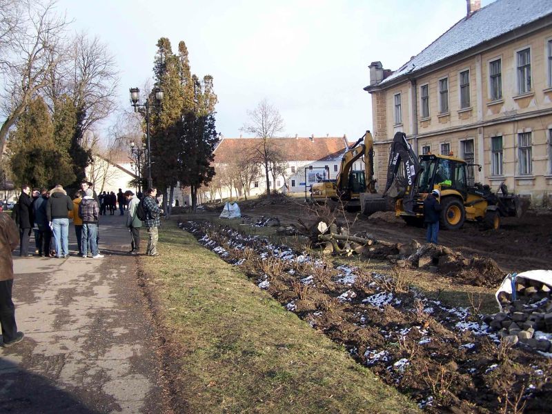 Copacii din parcul Custozza rămân deocamdată în picioare