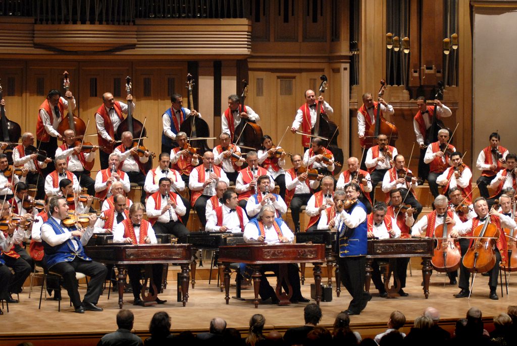 Orchestra „100 de viori” la Sala Palatului