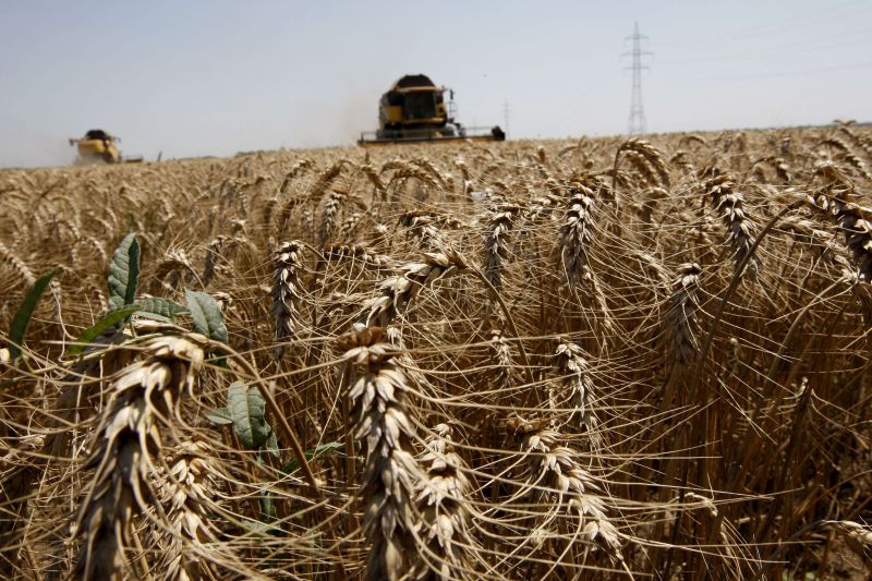 Preţul alimentelor, la un nou record