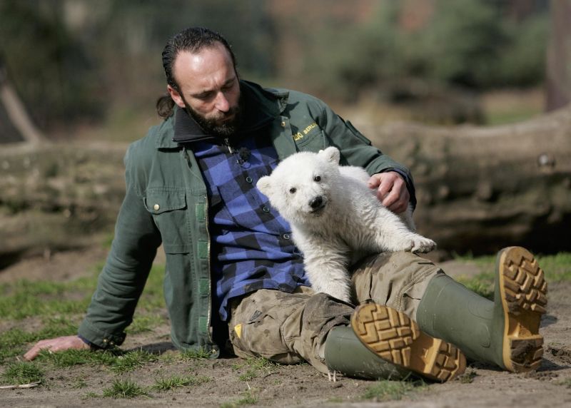 Primele imagini cu moartea ursului polar Knut