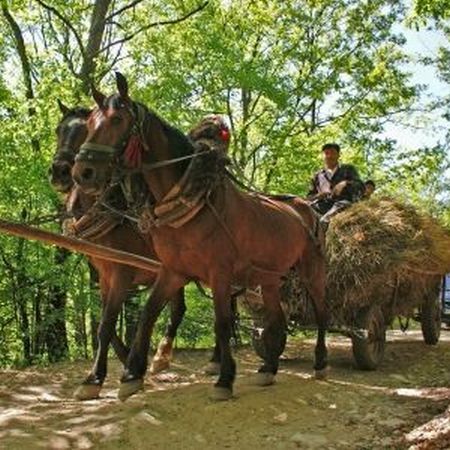 Dezvoltare rurală prin activităţi de economie socială în 24 de localităţi