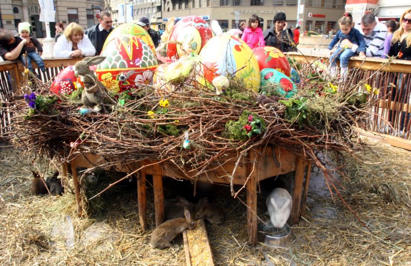 Iepuraşii de Paşte, ucişi de câini vagabonzi