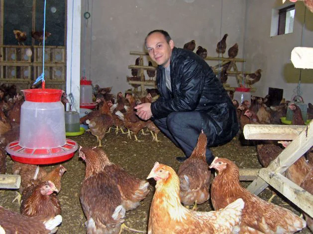 Prima fermă din ţară care creşte găini "free range"