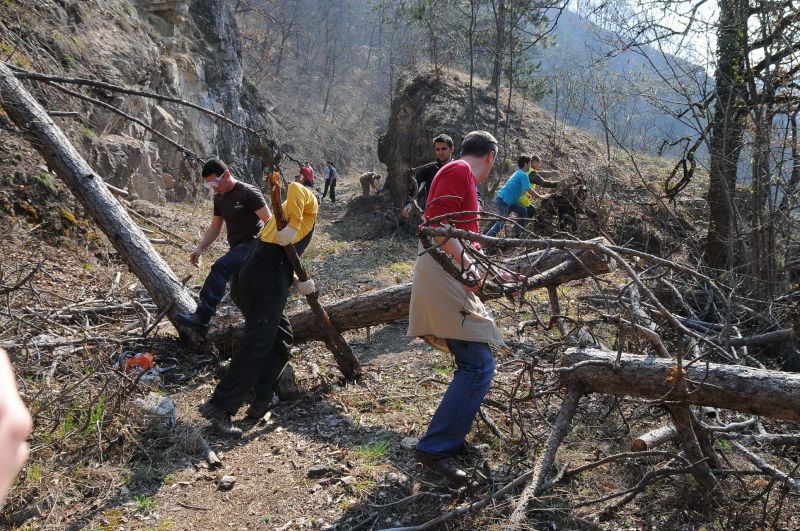 Traseul mocăniţei din Hunedoara, curăţat de voluntari