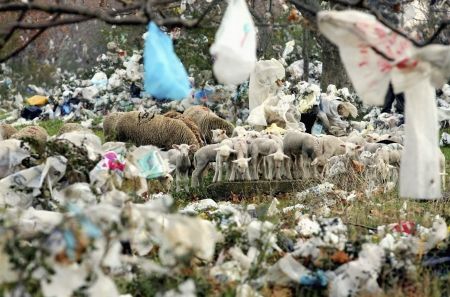 Aruncăm 500 de pungi de plastic în fiecare an. Cum să reducem numărul lor?