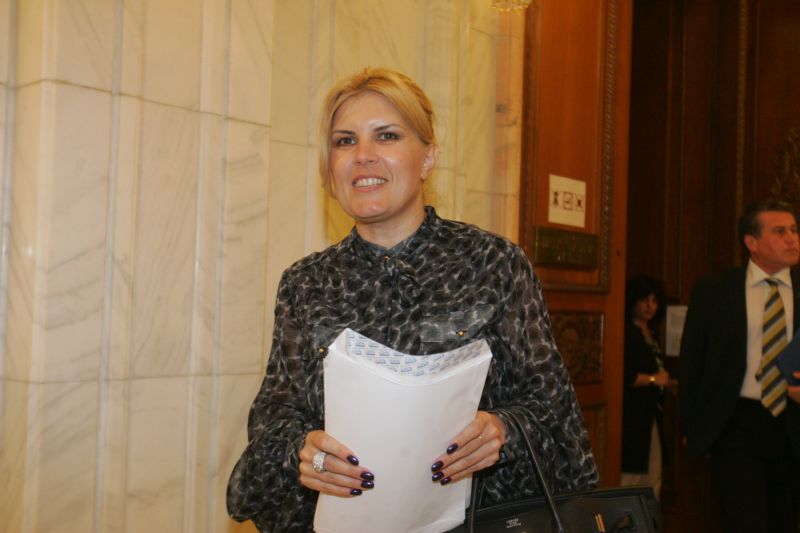 Elena Udrea: "Antenele şi Realitatea fac poliţie politică televizată"