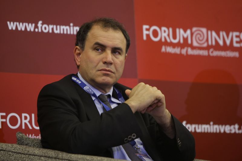 Roubini: Ce hibe are modelul de succes al Poloniei