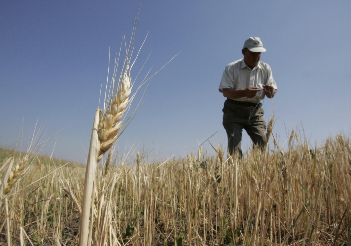 Terenul fărâmiţat şi pârloaga, duşmanii agriculturii