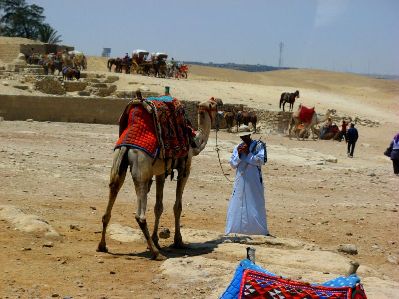 Beduinii, "ţiganii" egiptenilor. Cum să trăieşti în deşert la 40 de grade